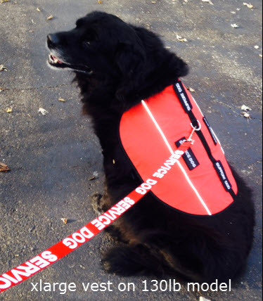 service dog vest service dog vest